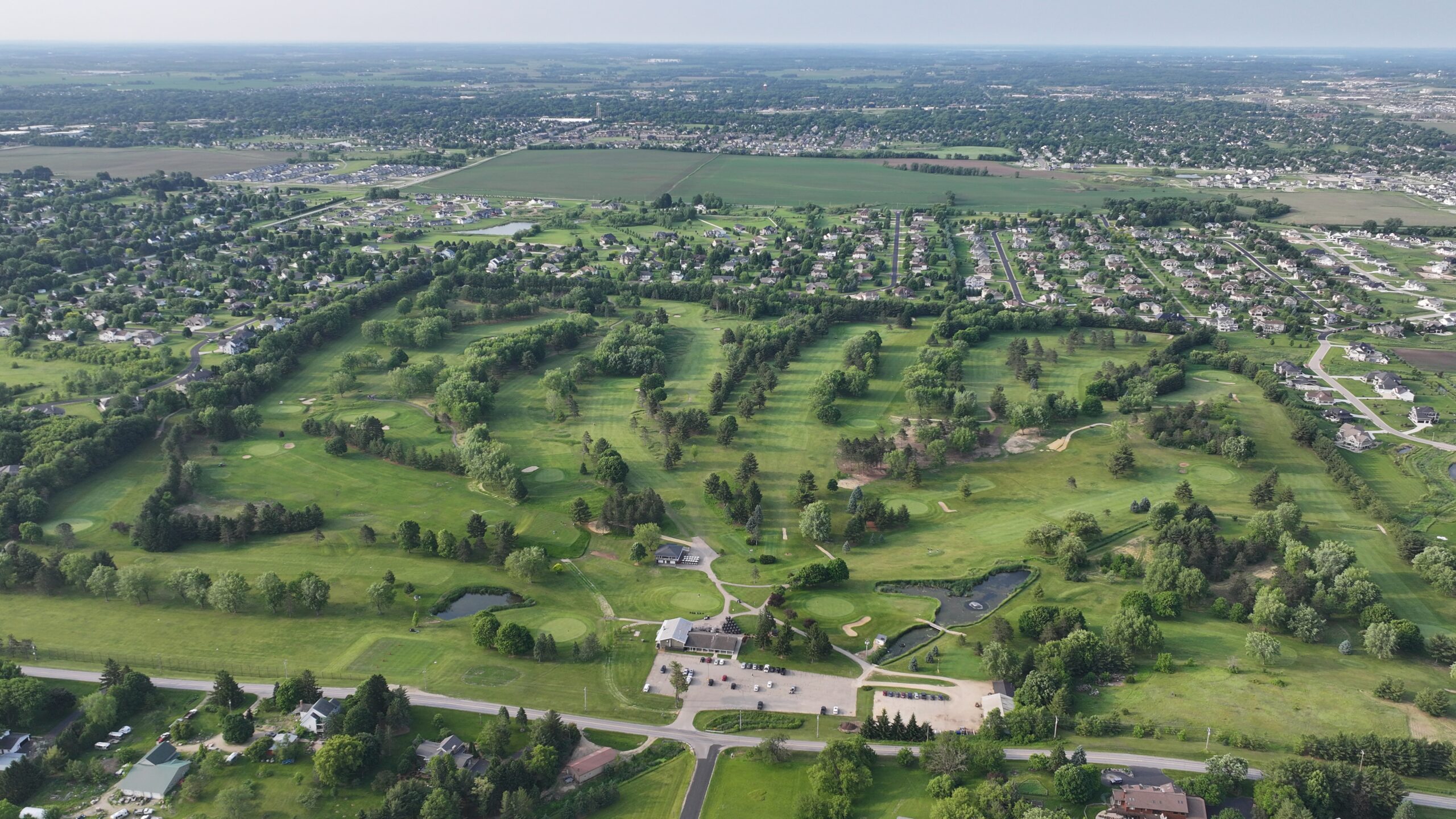 Prairie Pines