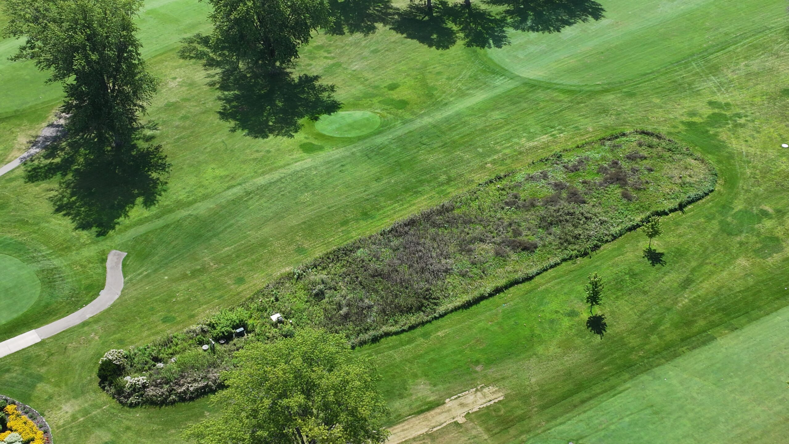 Ridgeway Golf Club
